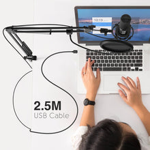 Cargar imagen en el visor de la galería, FIFINE Studio Condenser USB Computer Microphone Kit With Adjustable Scissor Arm Stand Shock Mount for YouTube Voice Overs-T669
